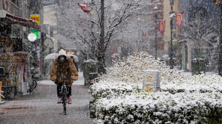 Video. Kuzey Japonya'da, karla kaplı dağ yolu tekrar trafiğe açık