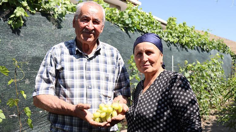 Ukraino'dan yataklar arasında getirdiler, Başkan Erdoğan'ın detayları ...